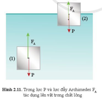 So sánh lực đẩy Archimedes tác dụng lên cùng một vật khi nó ở hai vị trí (1) và vị trí (2) trong hình 2.11. Biết rằng ở (1) thì vật đang chuyển động lên trên, ở (2) thì vật đang nằm cân bằng trên mặt thoáng. (ảnh 1)