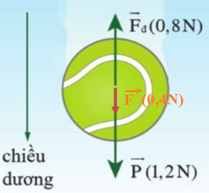 Xác định độ lớn và hướng của hợp lực F bằng cách dựng các vectơ lực P và lực Fđ đúng tỉ lệ. Đối chiếu với kết quả tính. (ảnh 1)