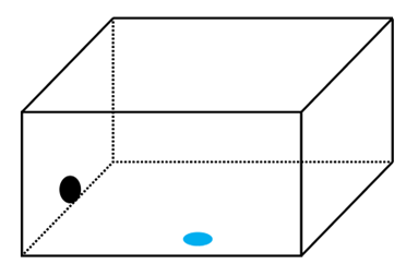 Độ sâu của nước trong một bể bơi thay đổi trong khoảng từ 0,80 m đến 2,40 m. Khối lượng riêng của nước = 1,00.103 kg/m3 và áp suất khí quyển là 1,01.105 Pa. (ảnh 1)