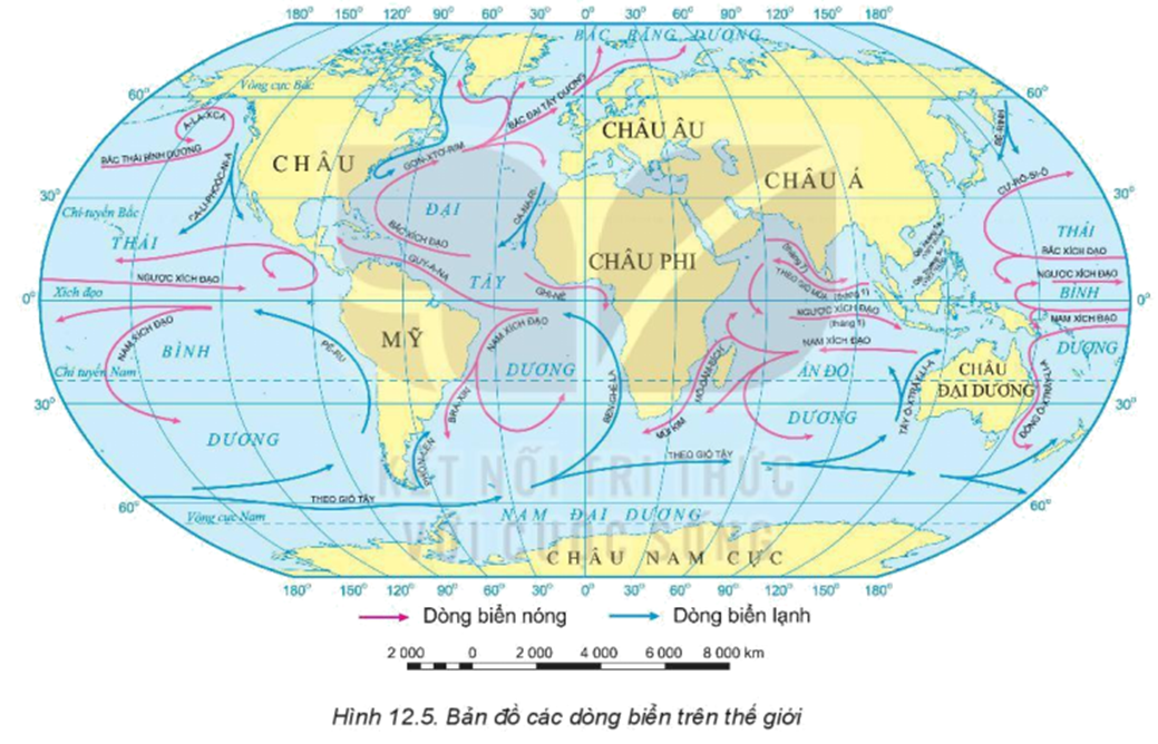 Dựa vào thông tin trong mục c, hình 12.5, hãy: - Trình bày chuyển động của các dòng biển trong đại dương. - Kể tên một số dòng biển trong các đại dương. (ảnh 1)