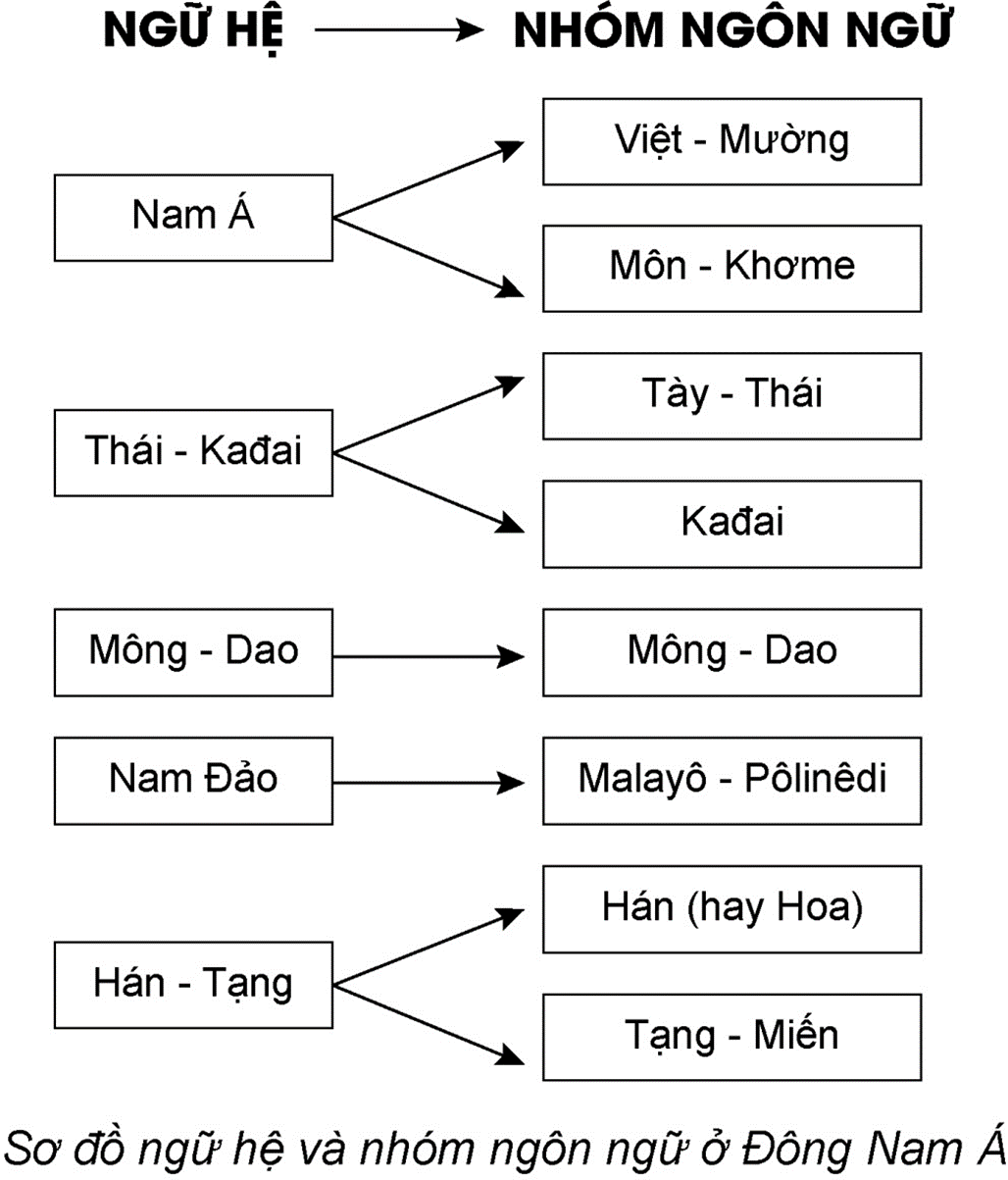 Lập sơ đồ về các ngữ hệ và nhóm ngôn ngữ Việt Nam. Kể tên một số dân tộc thuộc (ảnh 1)