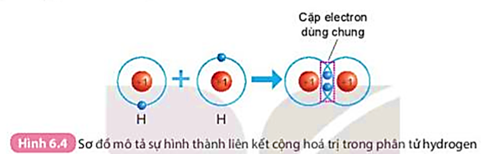 Quan sát Hình 6.4 và Hình 6.5, cho biết số electron lớp ngoài cùng của H và O trước và sau khi tạo thành liên kết cộng hóa trị. (ảnh 1)