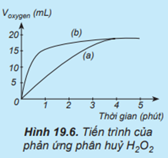 Thực hiện hai phản ứng phân huỷ H2O2 một phản ứng có xúc tác MnO2, một phản ứng không xúc tác. Đo thể tích khí oxygen theo thời gian và biểu diễn trên đồ thị như hình bên: (ảnh 1)