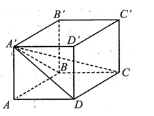 Cho hình lập phương ABCD.A’B’C’D’ có đường chéo bằng  (ảnh 1)