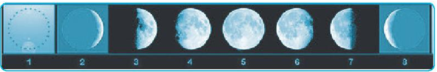 Hình dưới đây ghi lại hình dạng Mặt Trăng quan sát được trong các  (ảnh 1)