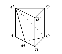 Cho hình lăng trụ tam giác đều ABC.A'B'C' có AB = a, AA' = a căn bậc hai của 2 (ảnh 1)