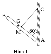 Thanh AB không đồng chất dài AB = L, trọng lượng  (ảnh 1)