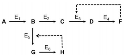 Cho chuỗi phản ứng sinh hóa giả định sau đây được xúc tác bởi enzim (E1-E6), đường gạch đứt mô tả tác dụng ức chế ngược  (ảnh 1)
