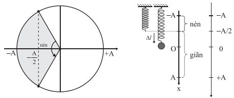 Một lò xo có độ cứng k = 80 N/m treo thẳng đứng. Treo lò xo vào một vật có khối  (ảnh 1)