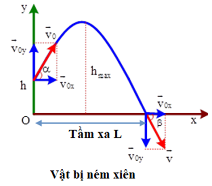 Ném vật theo phương thẳng đứng thì độ cao của vật lớn nhất. Nếu ném vật theo phương ngang thì tầm xa của vật lớn nhất không? (ảnh 1)