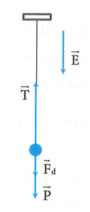 Một con lắc đơn có khối lượng quả cầu bằng 200 g, dao động điều hòa với biên độ (ảnh 1)