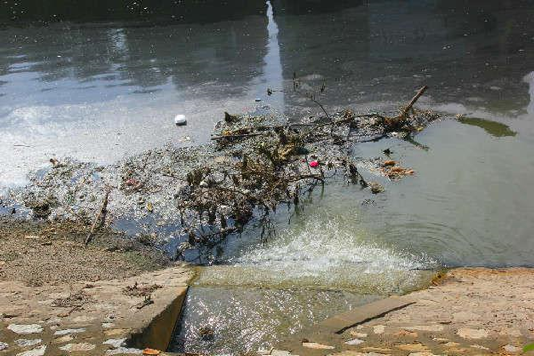 Tìm hiểu tình trạng ô nhiễm nguồn nước ở địa phương em. (ảnh 2)