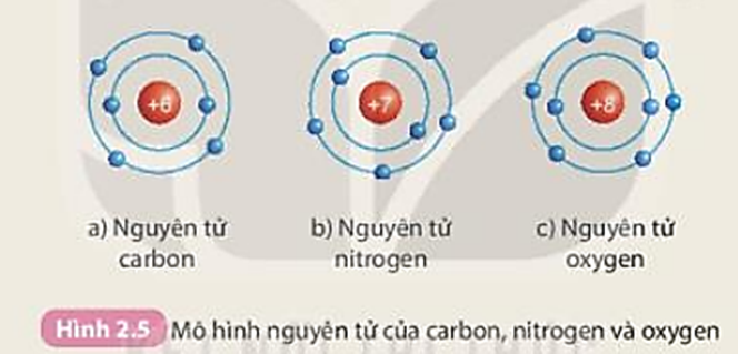 Chuẩn bị: Mô hình nguyên tử của các nguyên tử carbon, nitrogen, oxygen theo Hình 2.5. (ảnh 1)