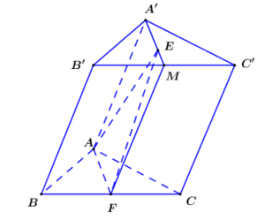 Cho khối lăng trụ ABC.A'B'C'. Gọi E là trọng tâm tam giác A'B'C' và (ảnh 1)