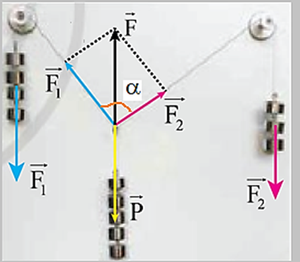 Thí nghiệm ở hình 5.6 cho phép nghiệm lại kết quả tổng hợp hai lực F1, F2 vuông góc với nhau và có độ lớn tương ứng theo tỉ lệ 4 : 3 (như ví dụ với quả cầu lông nói trên). Trong thí nghiệm này, lực kéo F1 tạo với dây treo 4 quả cân và lực kéo F2 tạo với dây treo 3 quả cân đã giữ cho chùm 5 quả cân không rơi. (ảnh 2)