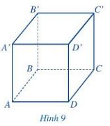 Hoạt động 6 trang 78 Sách giáo khoa Toán lớp 7 Tập 1: Quan sát hình lập phương ở  (ảnh 1)