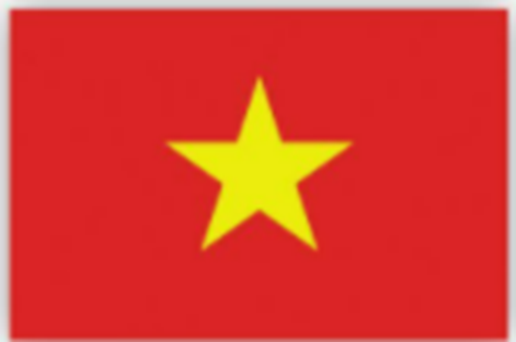 Thảo luận nhóm. a. Hãy tìm Quốc kì của Việt Nam trong các hình trên. (ảnh 2)