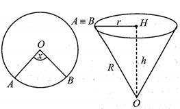 Bác Hoàng có một tấm thép mỏng hình tròn, tâm O, bán kính 4 dm. Bác định cắt ra một hình quạt  (ảnh 1)