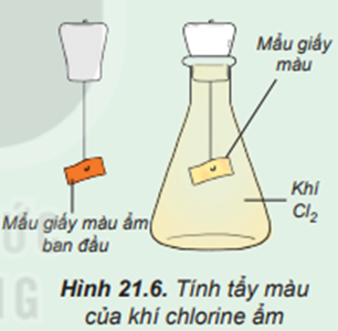 Tìm hiểu tính tẩy màu của khí chlorine ẩm Tiến hành: Đính một mẩu giấy màu ẩm vào thanh kim loại gắn với nút đậy bình tam giác. Sau đó, đưa mẩu giấy vào bình tam giác chứa khí chlorine (Hình 21.6). (ảnh 1)
