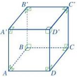 Hoạt động 7 trang 78 Sách giáo khoa Toán lớp 7 Tập 1: Quan sát hình lập phương  (ảnh 1)