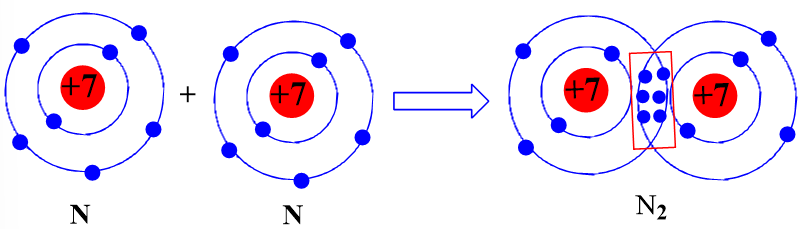 Hãy mô tả sự hình thành liên kết cộng hóa trị trong phân tử khí chlorine, khí nitrogen. (ảnh 2)