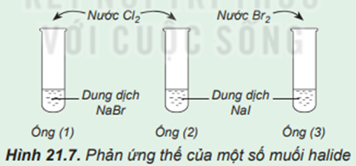 Phản ứng thế của một số muối halide  Chuẩn bị: 3 ống nghiệm, dung dịch NaBr, dung dịch NaI, nước Cl2, nước Br2 loãng.  Tiến hành: (ảnh 1)
