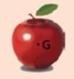 Biểu diễn trọng lực tác dụng lên quả táo (G là trọng tâm) (ảnh 1)
