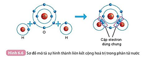 Quan sát Hình 6.6 và cho biết khi nguyên tử O liên kết với hai nguyên tử H theo cách dùng chung electron thì lớp vỏ của nguyên tử oxygen giống với lớp vỏ của nguyên tử khí hiếm nào? (ảnh 1)