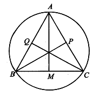 Xét tam giác ABC nhọn nội tiếp đường tròn  (O;R).  (ảnh 1)