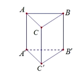 Cho khối lăng trụ đứng ABC.A'B'C' có đáy ABC là tam giác vuông tại C (ảnh 1)