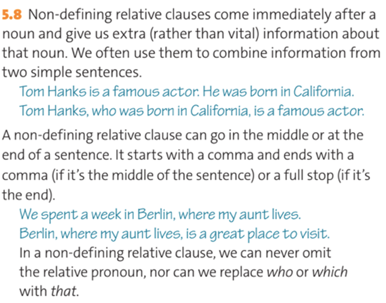Non-defining relative clauses come immediately after a noun and give us extra (rather than vital) information about that noun. (ảnh 1)