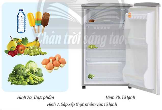 Hãy nêu cách sắp xếp thực phẩm ở Hình 7a vào tủ lạnh ở Hình 7b. (ảnh 1)
