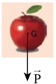 Biểu diễn trọng lực tác dụng lên quả táo (G là trọng tâm) (ảnh 2)