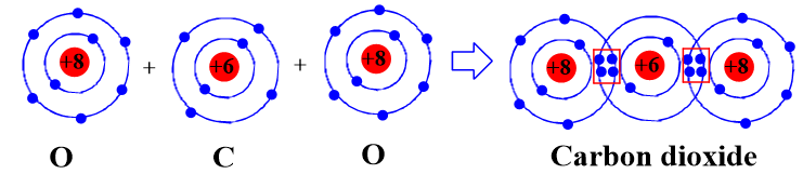 Hãy mô tả sự hình thành liên kết cộng hóa trị trong phân tử carbon dioxide, ammonia. (ảnh 1)