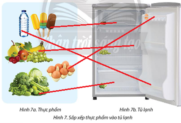 Hãy nêu cách sắp xếp thực phẩm ở Hình 7a vào tủ lạnh ở Hình 7b. (ảnh 2)