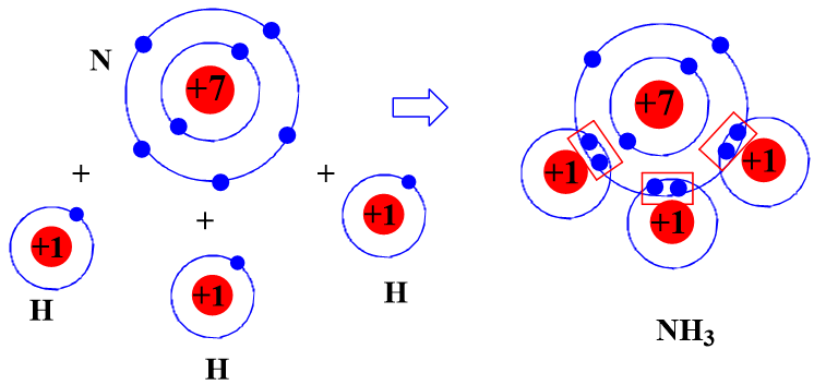Hãy mô tả sự hình thành liên kết cộng hóa trị trong phân tử carbon dioxide, ammonia. (ảnh 2)