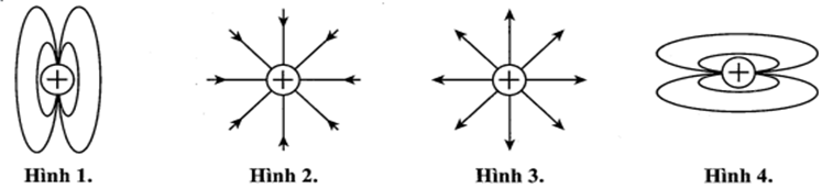 Hình vẽ nào sau đây là đúng khi vẽ đường sức điện của một điện tích dương? (ảnh 1)