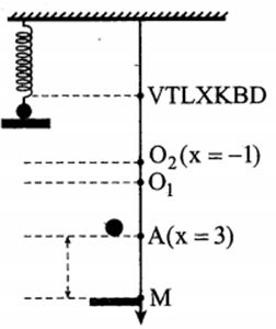 Một con lắc lò xo gồm vật nhỏ khối lượng m=100g được treo vào đầu tự do (ảnh 1)