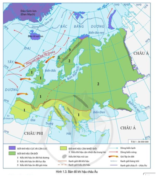 Đọc thông tin và quan sát hình 1.3, hãy phân tích sự phân hóa khí hậu ở Châu Âu (ảnh 1)
