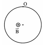 Một electron chuyển động tròn đều trong một từ trường đều có cảm ứng từ (ảnh 1)