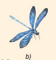 Chuồn chuồn có thể bay lượn trong không trung. Tại sao chúng không bị rơi xuống đất do trọng lực (Hình 19.5b)?   (ảnh 1)