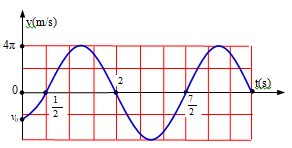 Một vật dao động điều hòa với phương trình vận tốc. hình bên (ảnh 1)