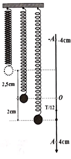 Một con lắc lò xo có k = 100 N/m treo thẳng đứng với giá treo (ảnh 1)
