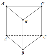 Cho lăng trụ đứng ABCA'B'C' có đáy là tam giác đều cạnh a (ảnh 1)