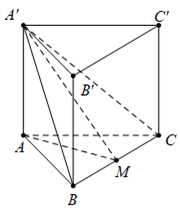Cho lăng trụ đứng ABCA'B'C' có đáy là tam giác đều cạnh a (ảnh 2)