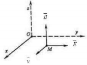 Trong không gian Oxyz, tại một điểm M có sóng điện từ lan truyền qua như hình vẽ. Nếu véctơ  biểu diễn phương chiều của   thì véctơ   và    lần lượt biểu diễn    (ảnh 1)