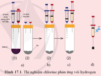Theo dõi mô tả thí nghiệm chlorine phản ứng với hydrogen  (ảnh 1)