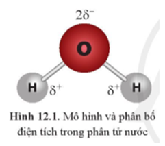 Hai phân tử nước có thể liên kết được với nhau (ảnh 1)