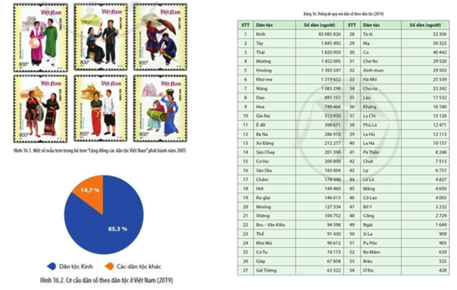 Đọc thông tin và quan sát Bảng 16, các hình 16.1, 16.2 hãy: - Kể tên các dân tộc thiểu số ở Việt Nam có dân tộc (ảnh 1)