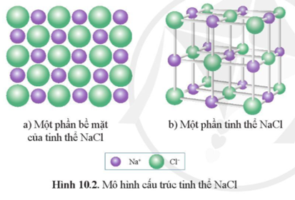 Từ mô hình NaCl, hãy cho biết xung quanh  (ảnh 1)